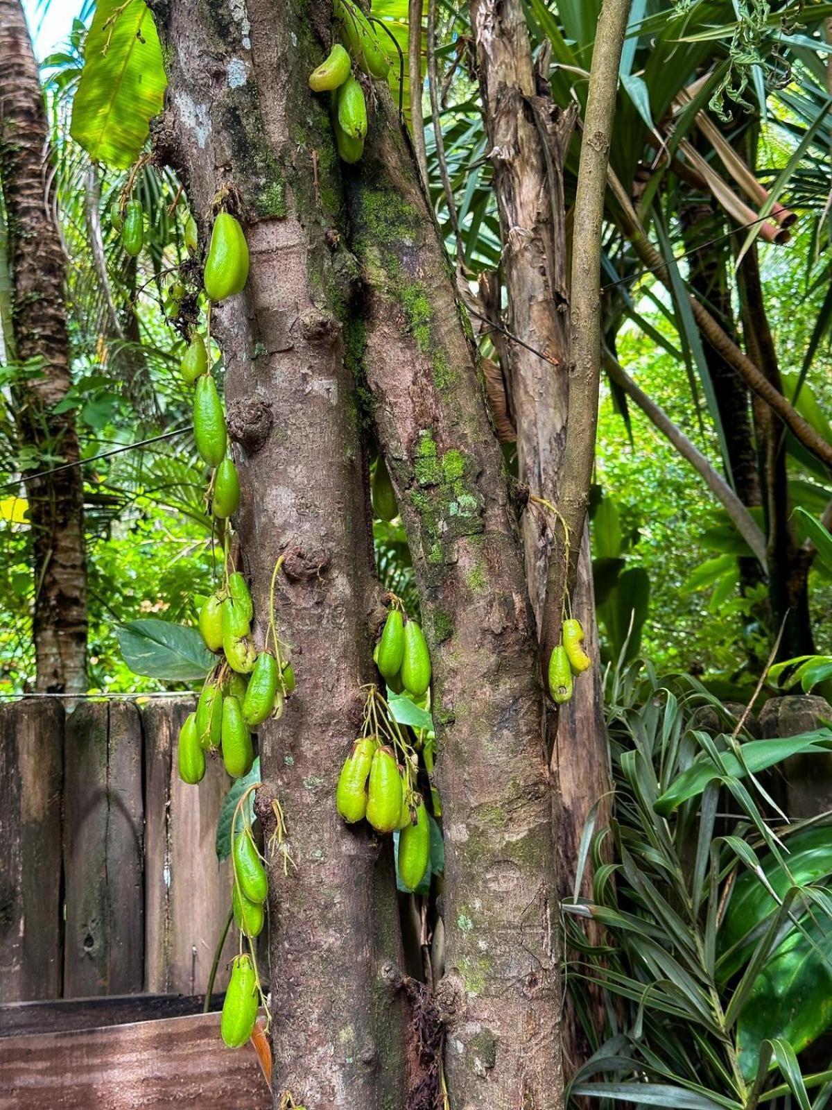 Casa Da Gloria Trancoso - Pousada Boutique Ngoại thất bức ảnh